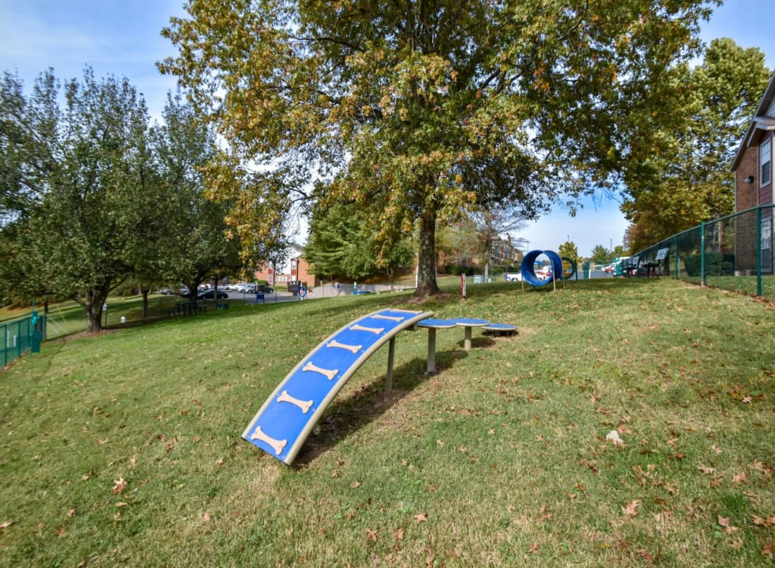 a playground with a blue slide and a blue bench at The Hickory Highlands